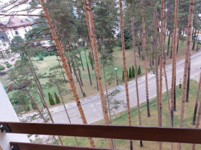 Apartman Subotic